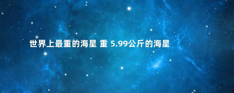 世界上最重的海星 重 5.99公斤的海星